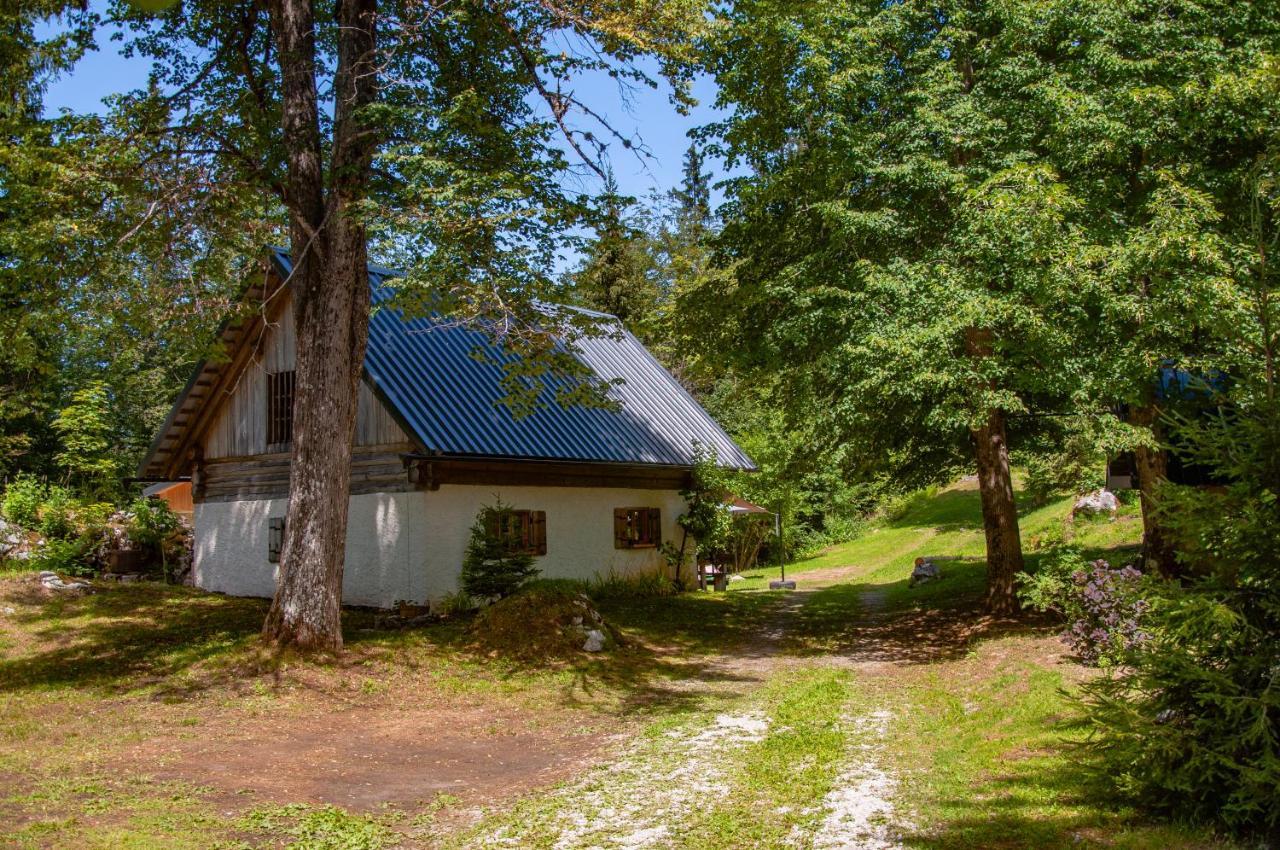 Вилла Boutique House Vresje Бохиньска-Быстрица Экстерьер фото